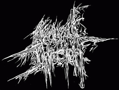 logo Acausal Intrusion